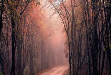 上赛季德甲联赛积分榜有哪些关键看点和变化？